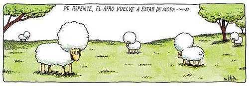 Es lo que hay...