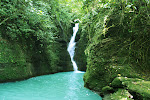 Captivating CAPIZ