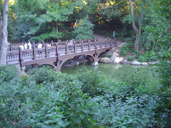 Bridge In Central Park