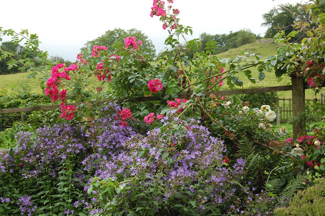 More Hill Top Farm Garden