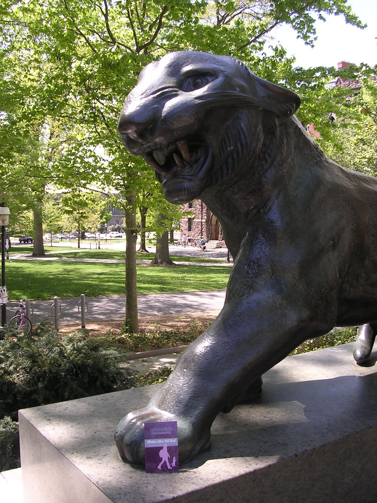 [PrincetonTiger.JPG]