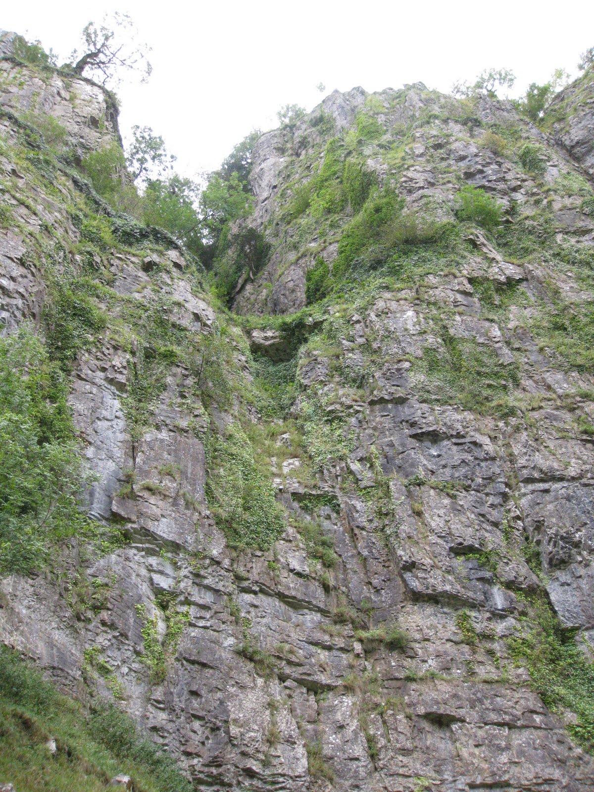 [IMG_0687+003.JPG]