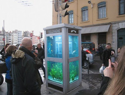 Aquariums In Ohio