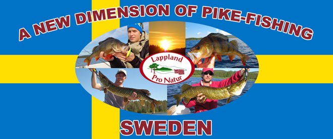 FISHING IN SWEDEN - LAPPLAND PRO NATUR - GAFSELE