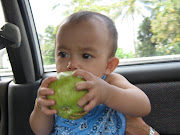 11 bulan( 02/04/2009)