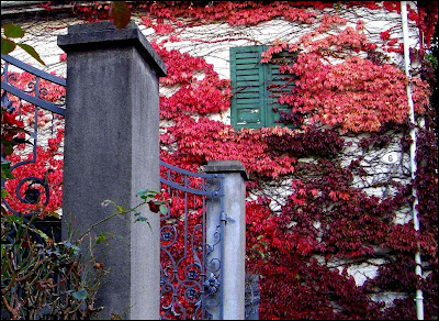 Ursinow Schloss Bernegg Maschendrahtzaun Und Wilder Wein