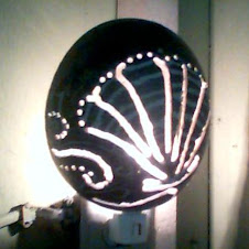 Shell night light