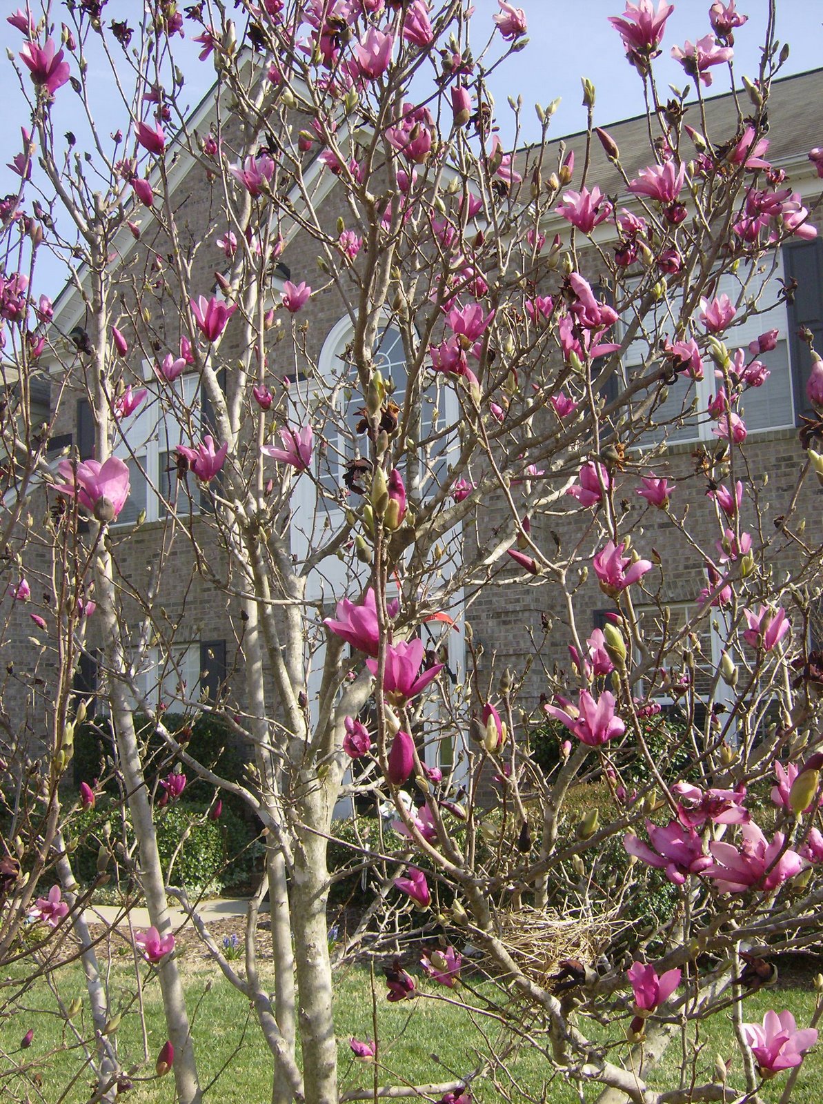 [Spring+Kitchen+030.JPG]