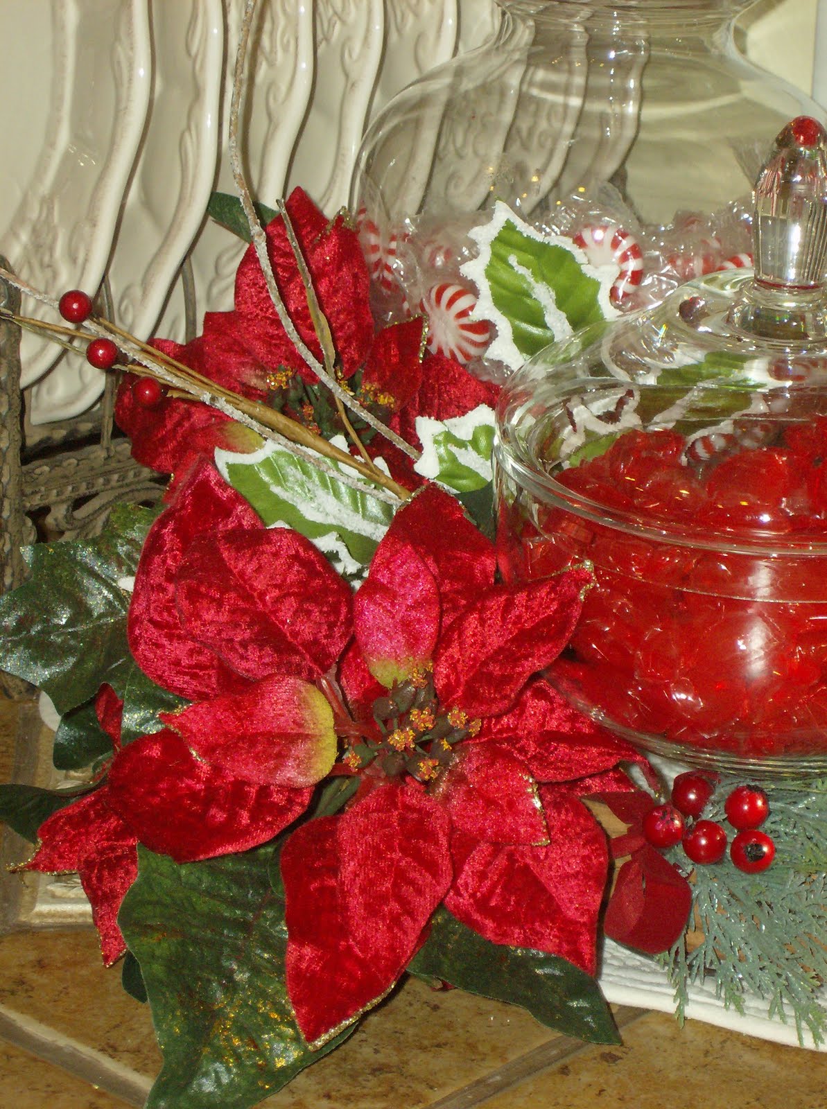 [Poinsettias+032.JPG]