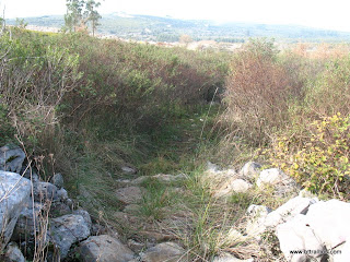 btt sicó