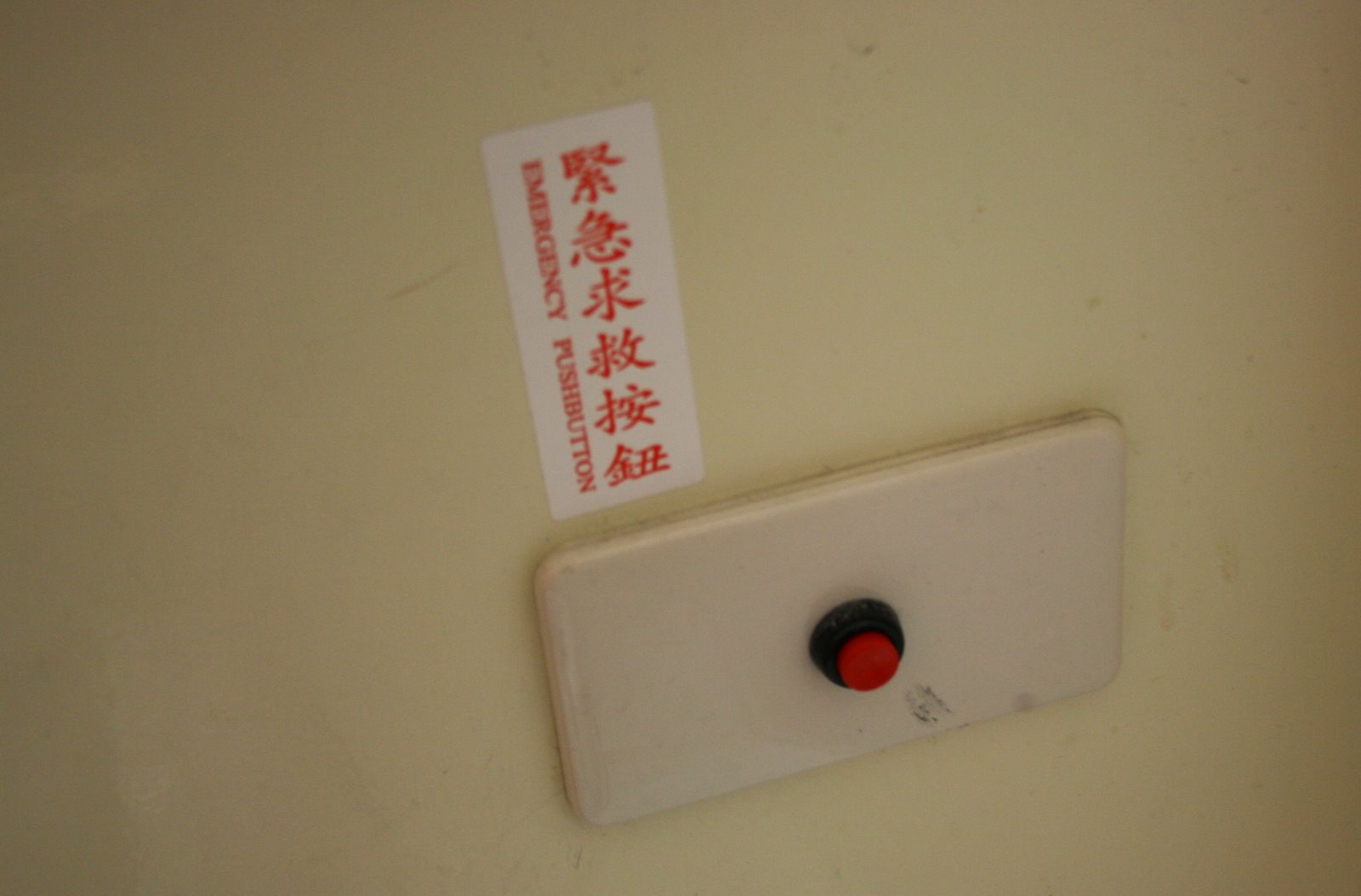 [Copy+of+IMG_3494.JPG]