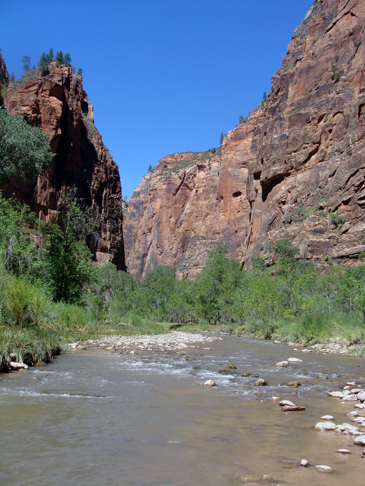 The Maine Vegan Day Five; zion, tubing, oscars