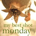 Best Shot Monday