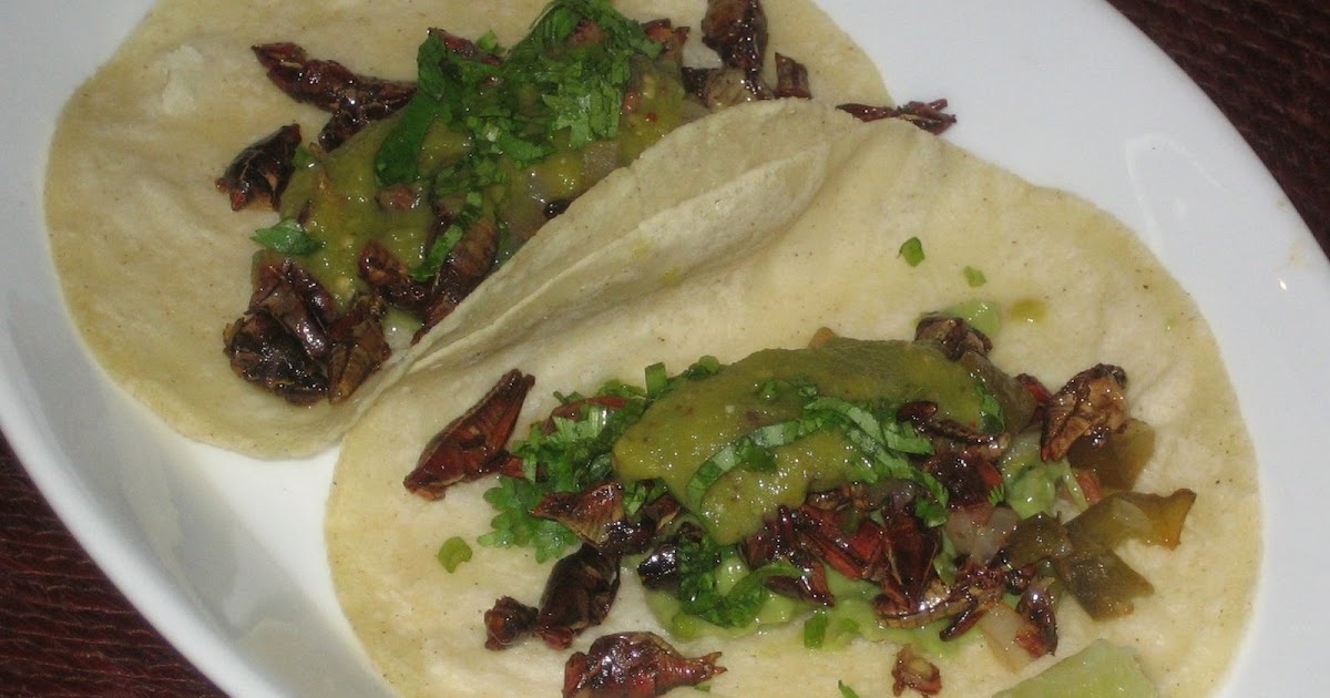 fooditude Tacos