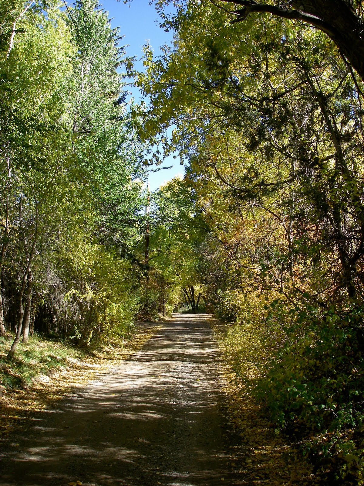 Exploring Around Santa Fe Big Tesuque Creek
