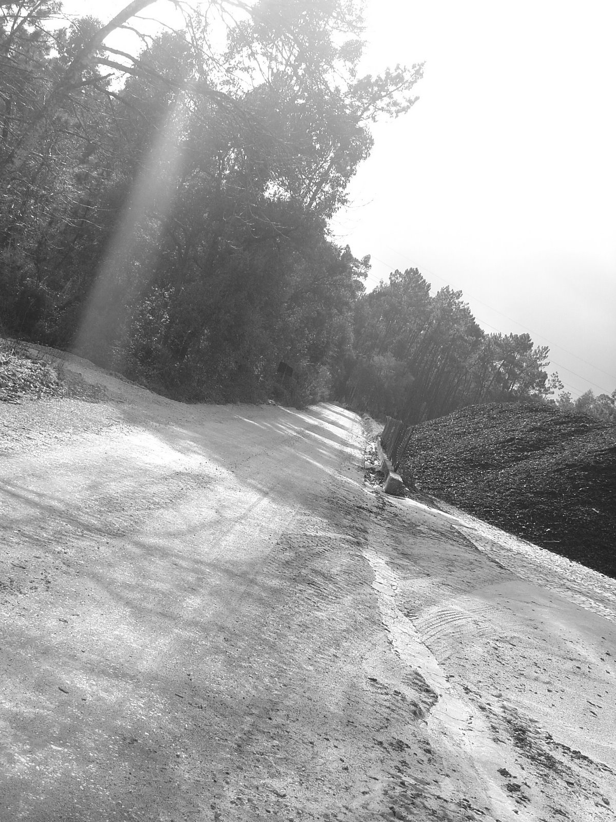 [estrada+cerimonia.jpg]