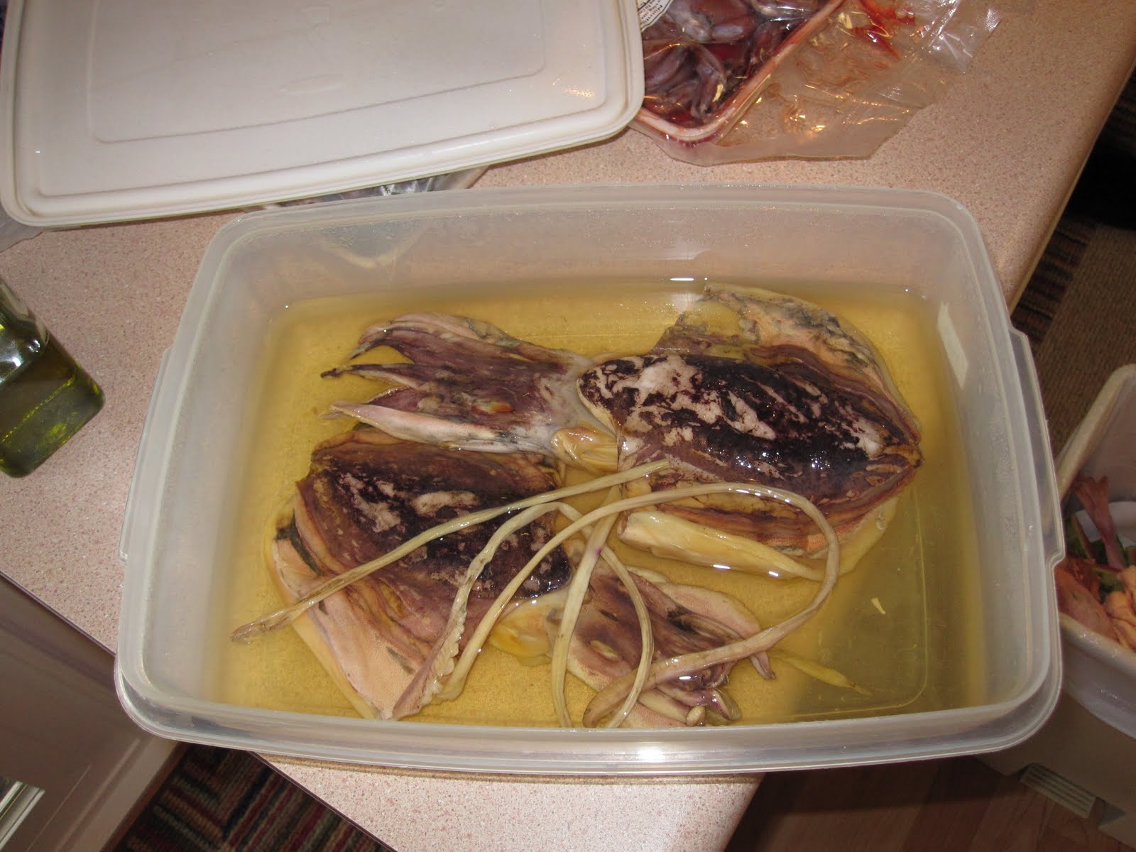 Cannundrums Dried Cuttlefish Grilled