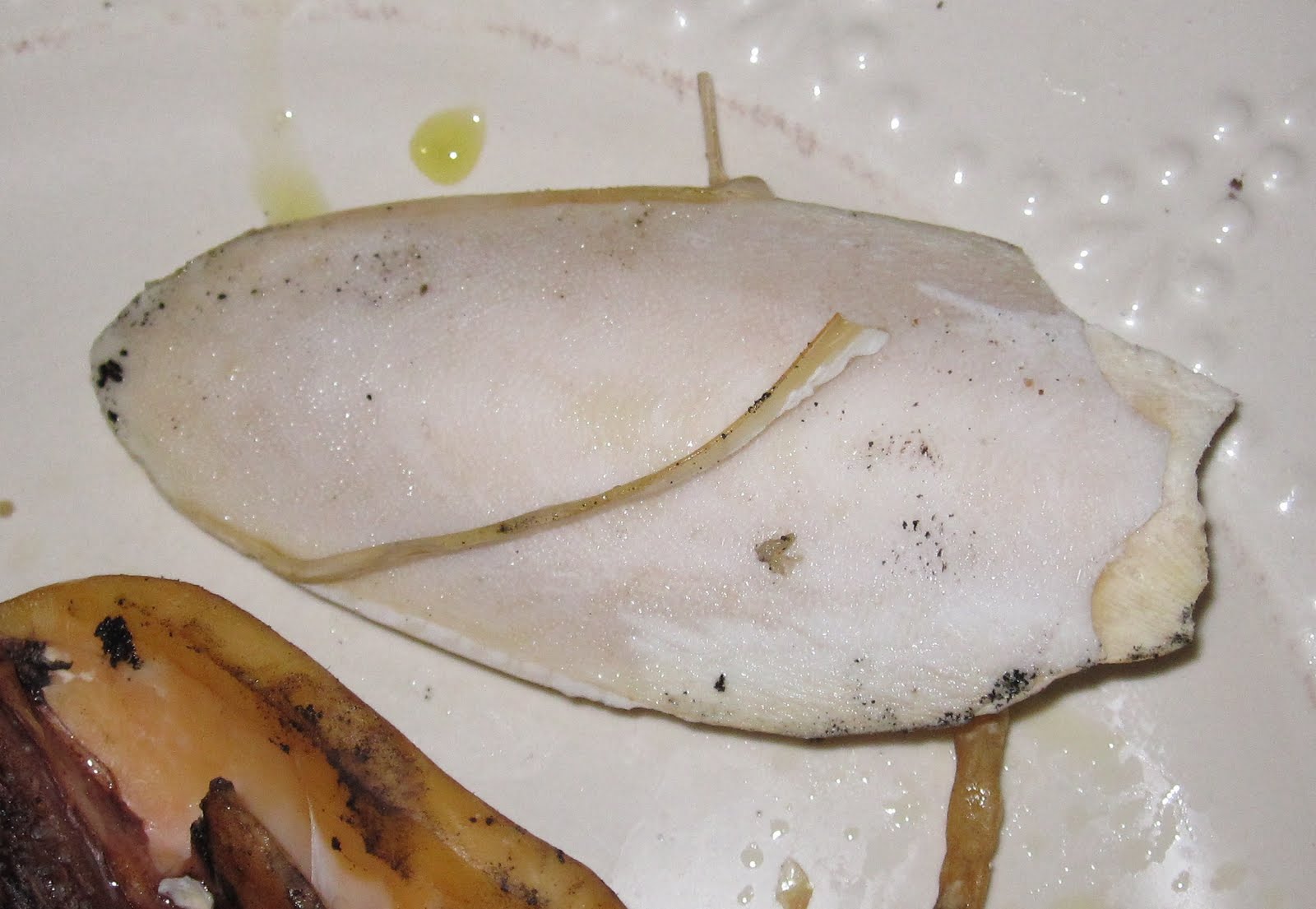 Cannundrums Dried Cuttlefish Grilled