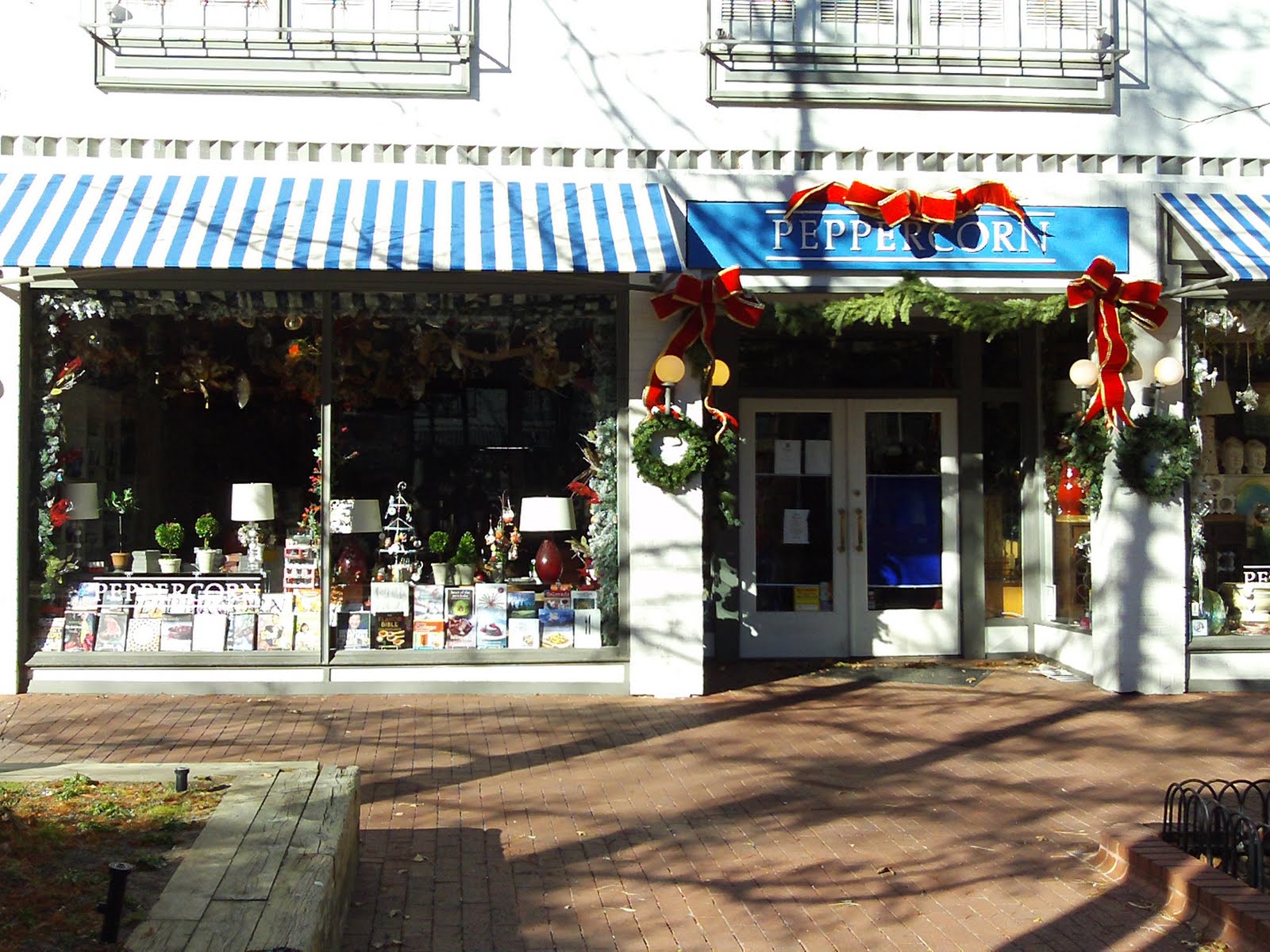 Denver Photos November 2010