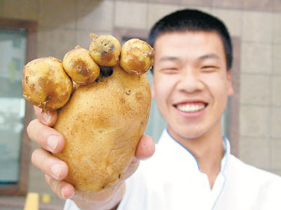Funny Potato