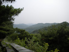 View going down the mountain