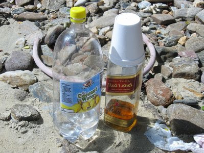 What have I been up to? - Scotland Bay Lime 13 IMG 6899