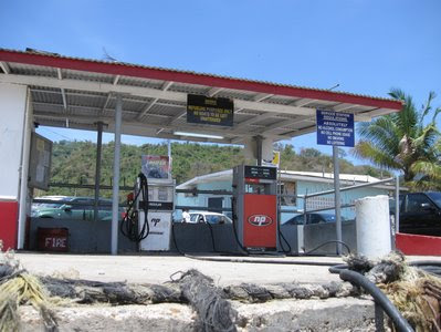 What have I been up to? - Scotland Bay Lime 4 IMG 6782