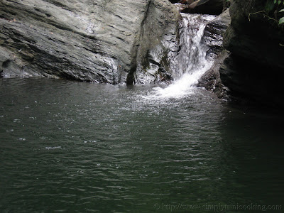 Morang River 20 IMG 1756