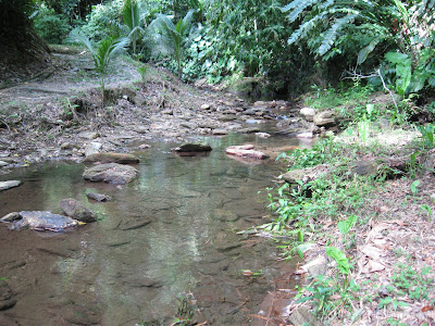 Morang River 17 IMG 1749