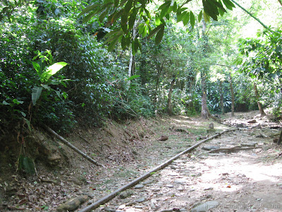 Morang River 12 IMG 1742