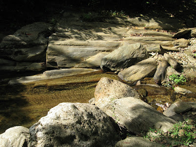 Morang River 7 IMG 1727