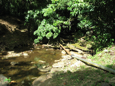 Morang River 8 IMG 1729