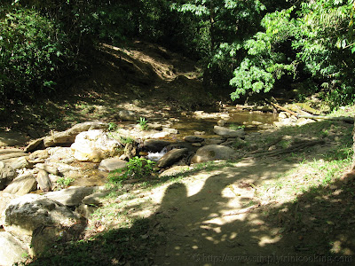 Morang River 6 IMG 1726