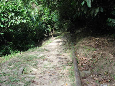 Morang River 5 IMG 1725