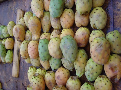 Bears Fruit
