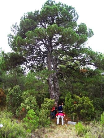 [VARIANTE+CIRCULAR+GR37+27-9-2008+001+(36).jpg]