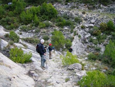 [pr-cv276+ayodar-villamalur-ayodar+29-11-2008+001+(33).jpg]