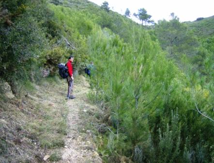 [pr-cv276+ayodar-villamalur-ayodar+29-11-2008+001+(57).jpg]