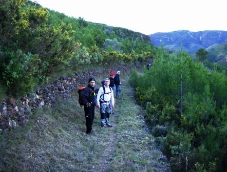 [pr-cv276+ayodar-villamalur-ayodar+29-11-2008+001+(12).jpg]