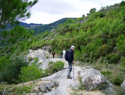 [pr-cv276+ayodar-villamalur-ayodar+29-11-2008+001+(32).jpg]