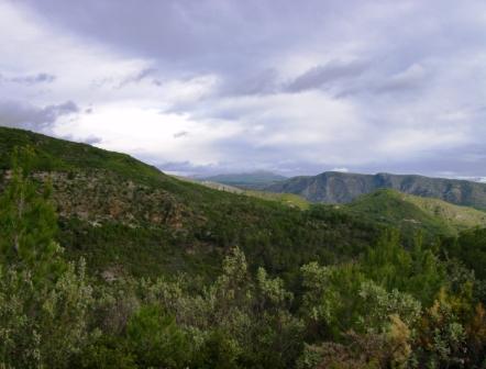 [pr-cv276+ayodar-villamalur-ayodar+29-11-2008+001+(22).jpg]