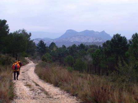 [Montduver+desde+Tavernes+de+la+Valldigna+27-12-2008+026.jpg]