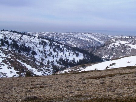 [Pico+del+Buitre-Arcos+de+las+Salinas+21-2-2009+013.jpg]