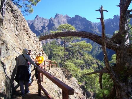 [Hoyo+Verde+11-2-2009+018.jpg]