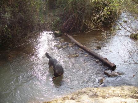 [PEÃ‘A+LATRON+033.jpg]