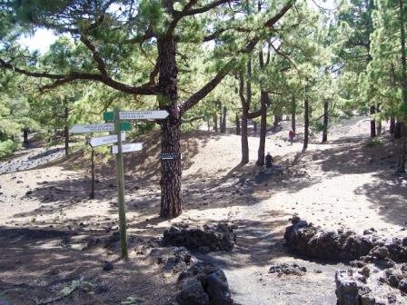 [Ruta+de+los+Volacanes+13-2-2009+082.jpg]