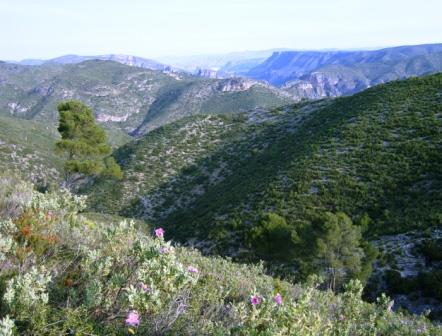 [PR291+(+Gestalgar-el+Salta-La+Pera-+Gestalgar)+027.jpg]