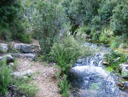 [PR291+(+Gestalgar-el+Salta-La+Pera-+Gestalgar)+040.jpg]