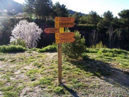 [ASCENSIÓN+AL+MAIGMÓ+002.jpg]