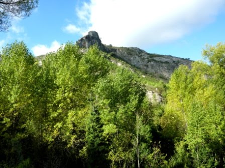 [P1020677.JPG]